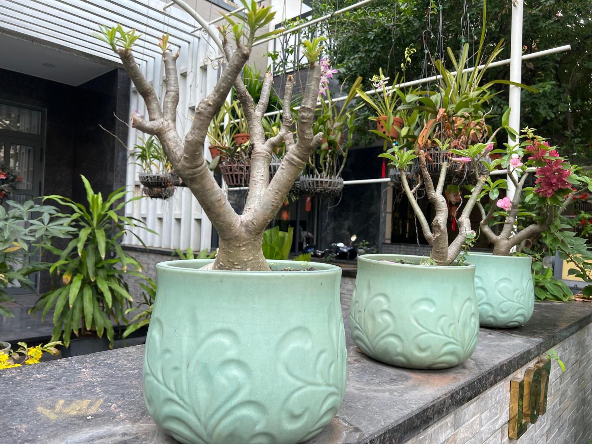 With Full Amenities * TP. Hồ Chí Minh